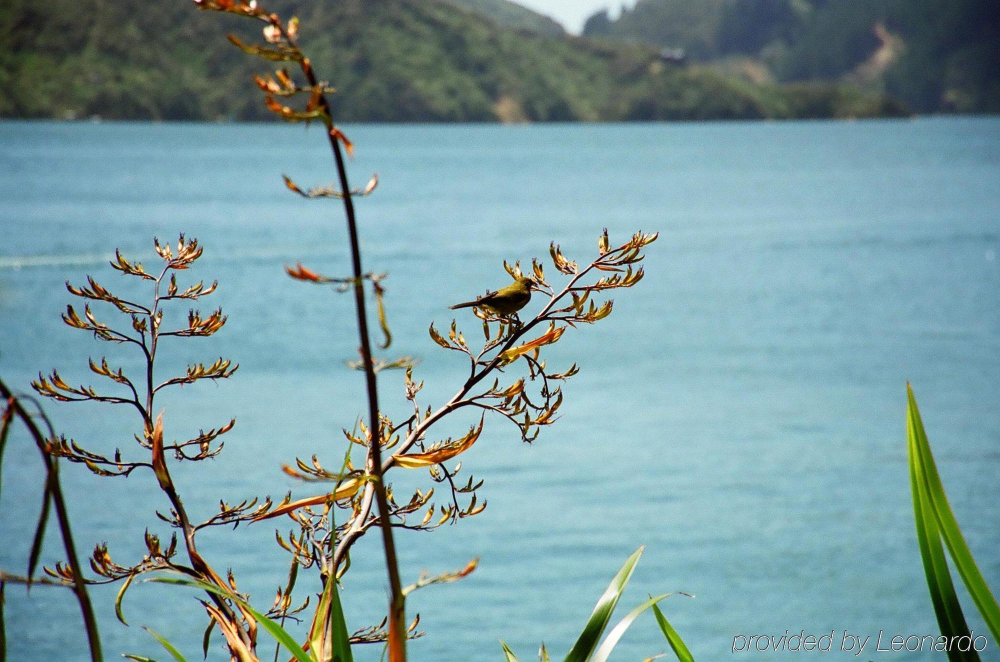 מלון Arthur's Bay Bay Of Many Coves מראה חיצוני תמונה